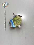 Miniguide print issue #106 cover
