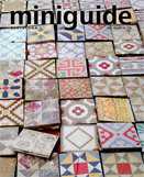 Miniguide print issue #61 cover