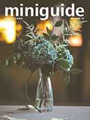 Miniguide print issue #81 cover