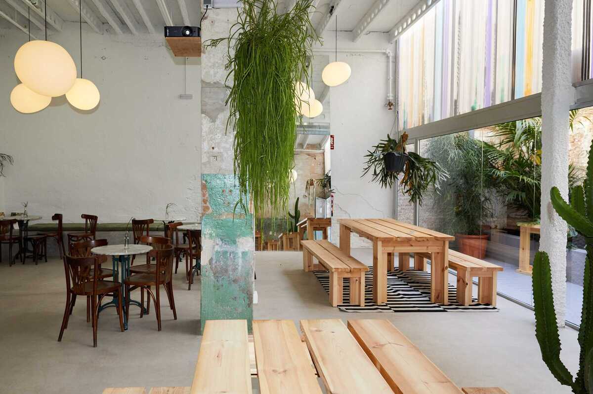 Kaktos