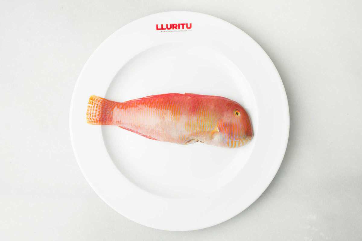 Lluritu