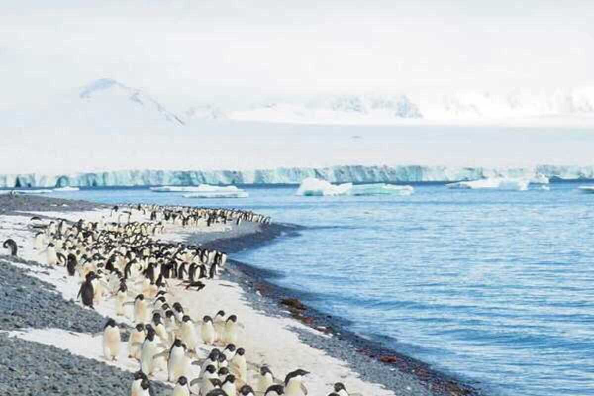 antarctica-25