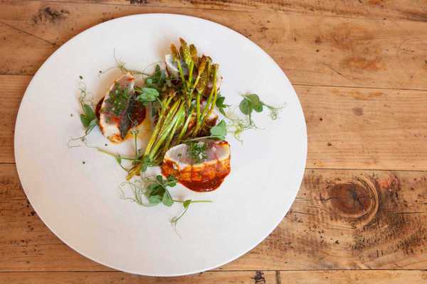 fismuler amberjack