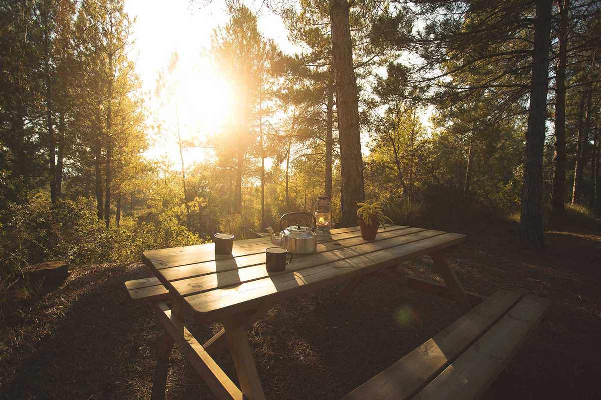 forest-days-glamping-picnic-table