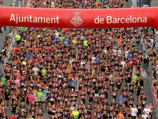 mercerun 26