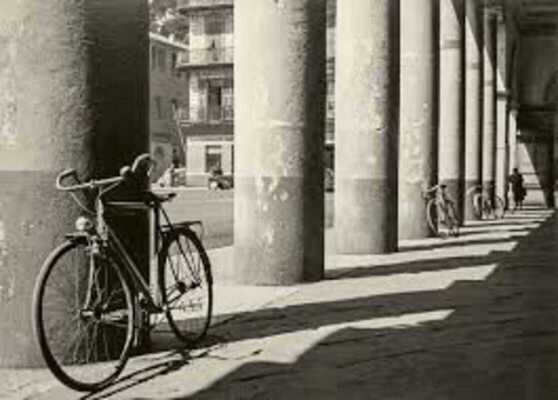 minorwhite 26