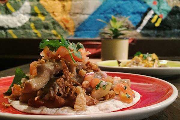 pikio taco