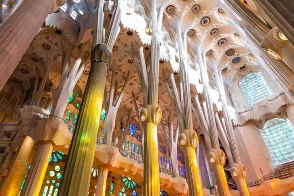sagradafree 26