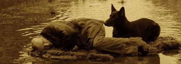 stalker 26
