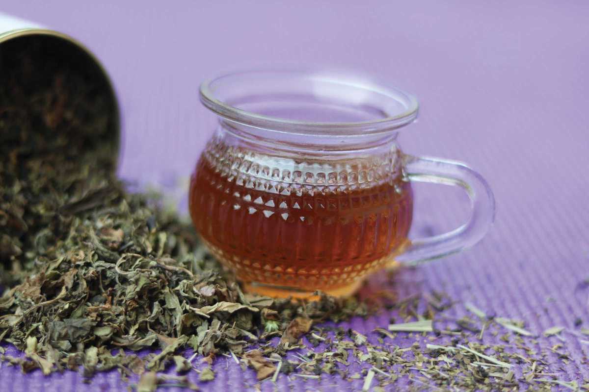 tulsi-tea