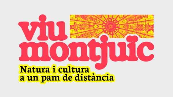 viu 26